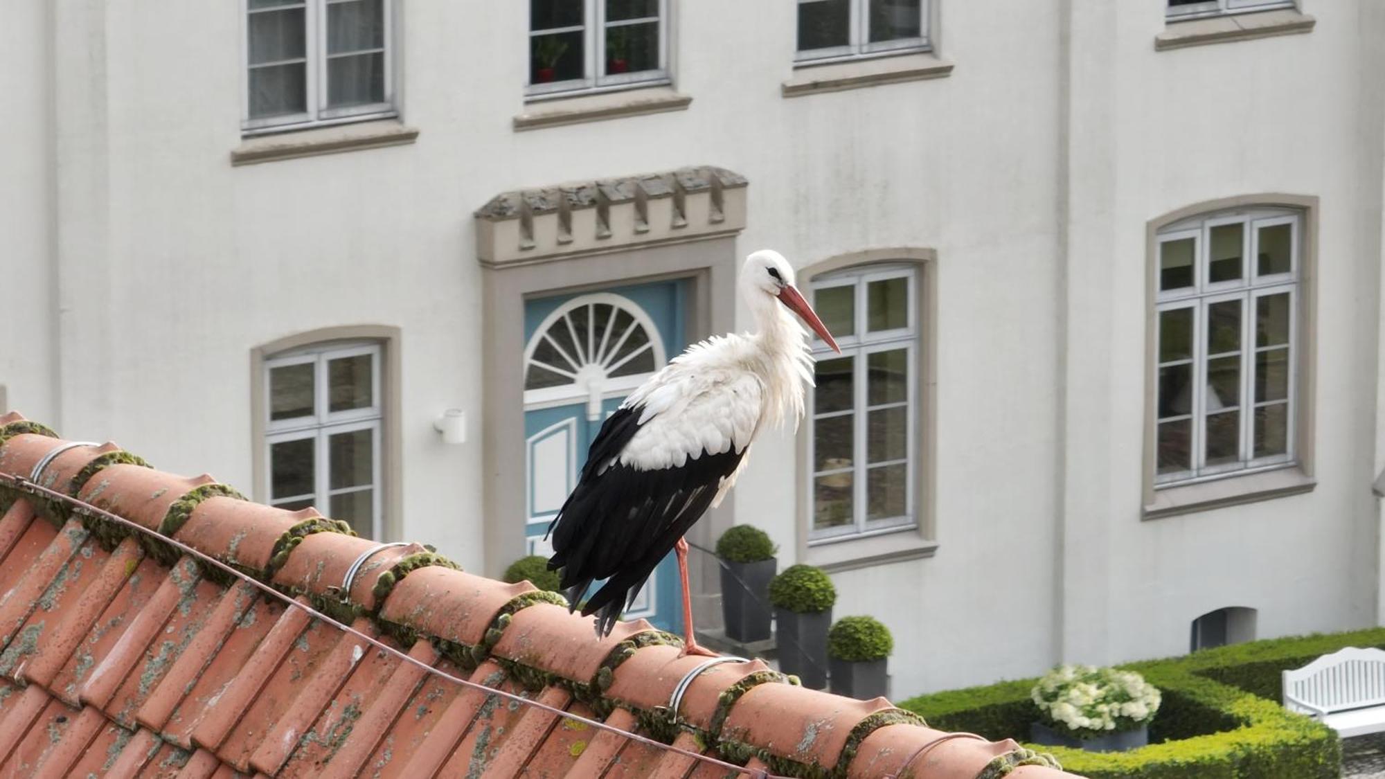 Hotel & Gaestehaus Gut Kaden Alveslohe Zewnętrze zdjęcie